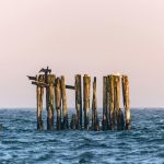 Zdjęcie do artykułu: Bałtyk latem i zimą – jak zmienia się nadmorskie wybrzeże