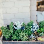 Zdjęcie do artykułu: Mały ogród, wielkie możliwości – triki projektantów krajobrazu