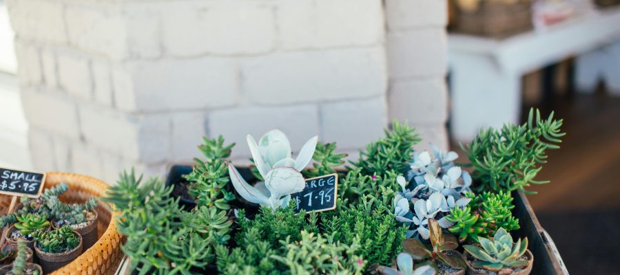 Zdjęcie do artykułu: Mały ogród, wielkie możliwości – triki projektantów krajobrazu